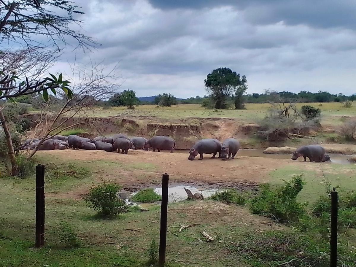 Mara River Lodge Aitong Kültér fotó