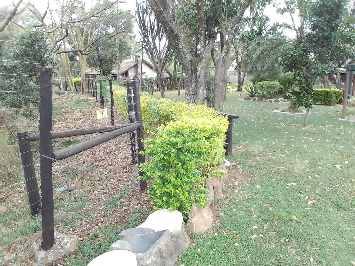 Mara River Lodge Aitong Kültér fotó