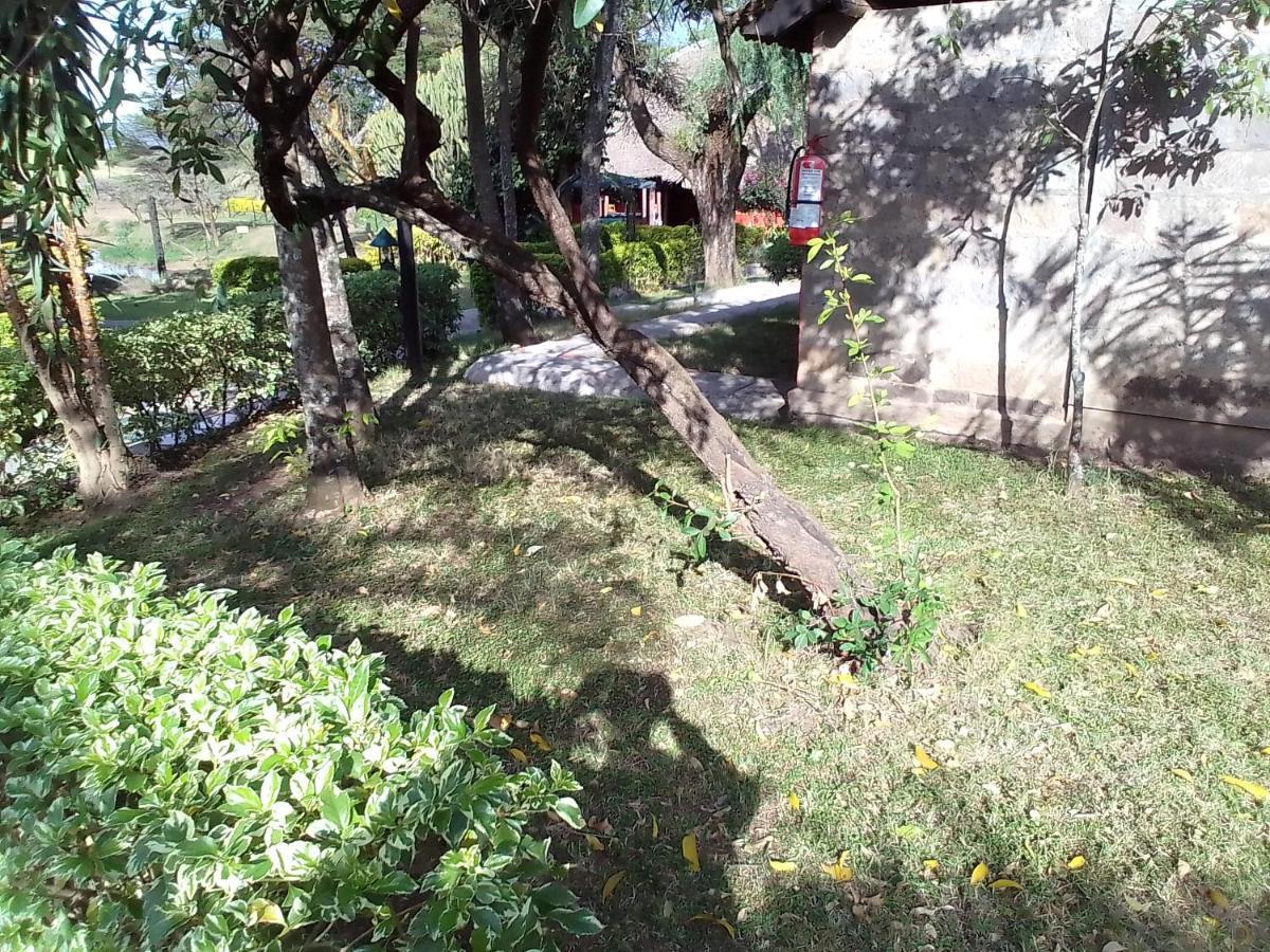 Mara River Lodge Aitong Kültér fotó