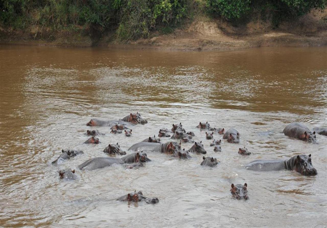 Mara River Lodge Aitong Kültér fotó